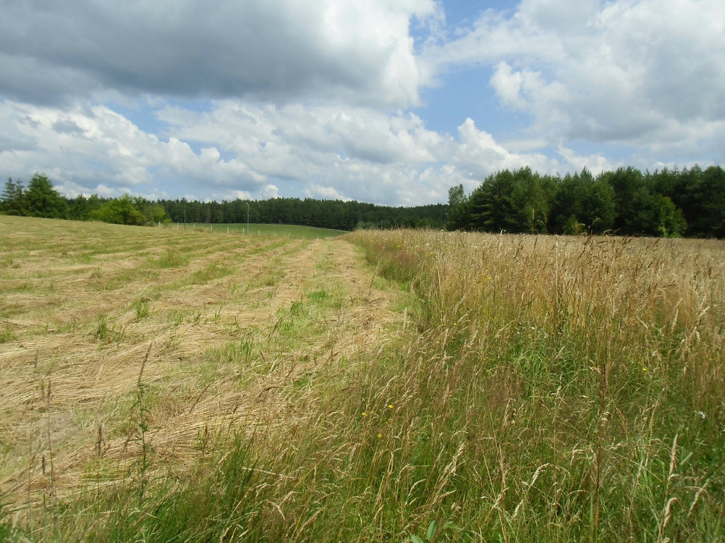 Działka Sprzedaż Krępkowice