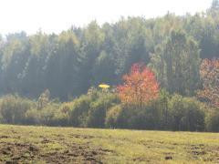 Działka Sprzedaż Krępkowice