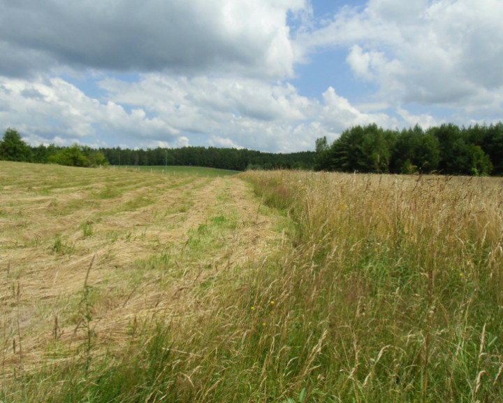 Działka Sprzedaż Krępkowice